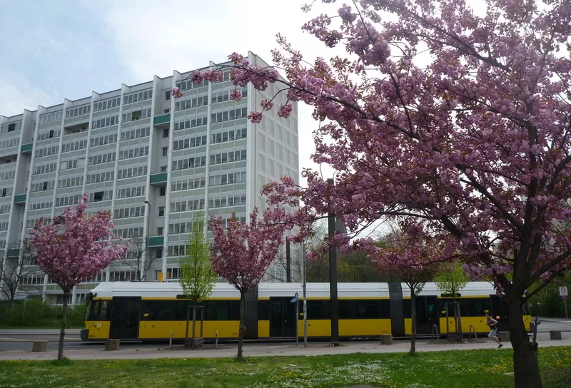 Berlino 2010